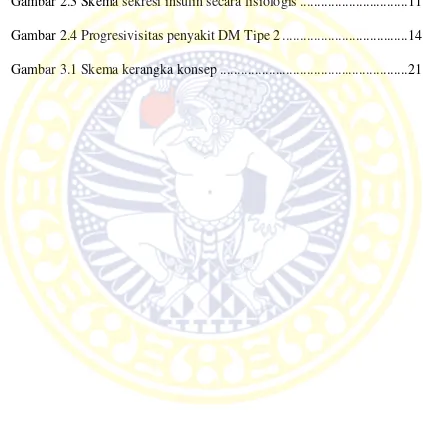 Gambar 2.3 Skema sekresi insulin secara fisiologis ...............................11