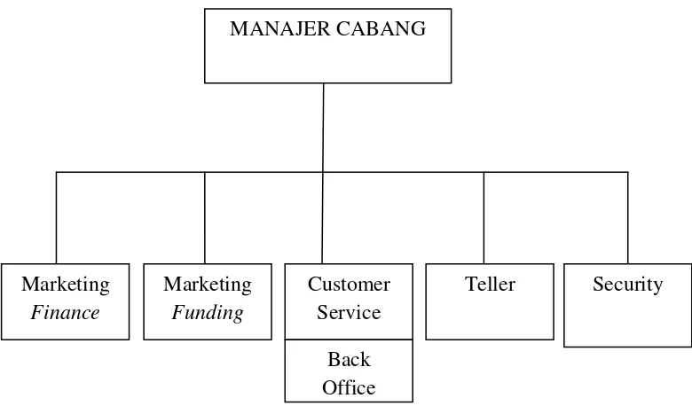 Gambar 3.2 StrukturOrganisasi BMT TumangCabangSalatiga 