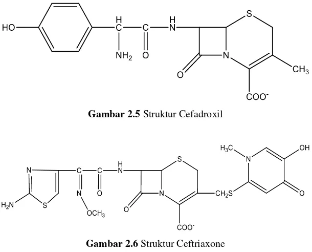 Gambar 2.6 Struktur Ceftriaxone 