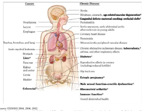 Figure 4.1. Health Consequences linked to smoking