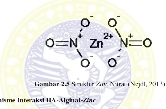 Gambar 2.5 Struktur Zinc Nitrat (Nejdl, 2013) 