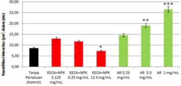 Gambar 6. Keratinosit yang mengekspresikan protein AQP3 (coklat) setelah 24 jam dipajankan dengan AR ( asam retinoat)  pada beberapa konsentrasi (a) tanpa pajanan; (b) 0.25 mg/mL; (c) 0.5 mg/mL; dan (d) 1 mg/mL