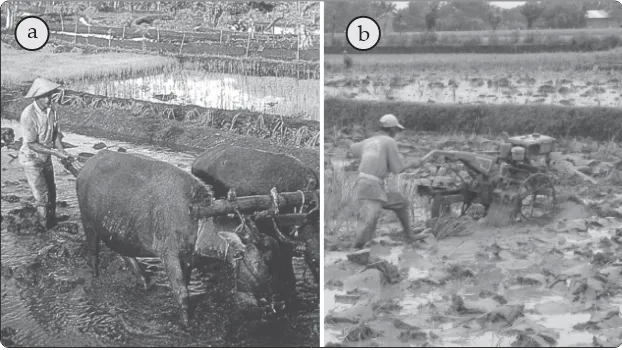 Gambar 4.1 Perubahan teknologi dalam pengolahan sawah dari menggunakan (a)Sumber:bajak yang ditarik kerbau menjadi (b) traktor memberikan kemudahanpada manusia