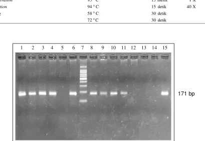 Gambar 1.  Hasil PCR konvensional sampel 14, 15, 16, 17, 18, 19