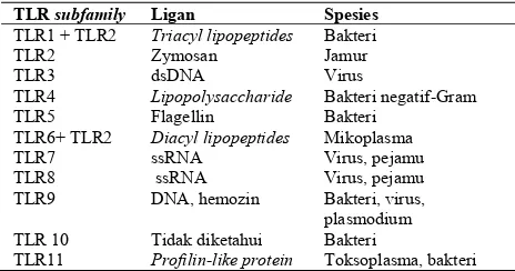 Tabel 1. Klasifikasi TLR, ligan, dan spesies yang dikenali3