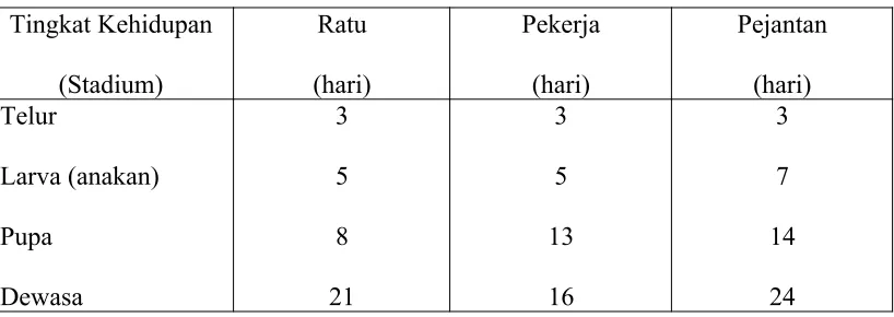 Tabel 2. Siklus Hidup Lebah Madu.