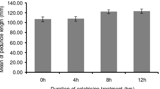 Figure 6.  The effect of soaking seeds in 0.1% colchicine solution at various duration on the length of SDP peduncles