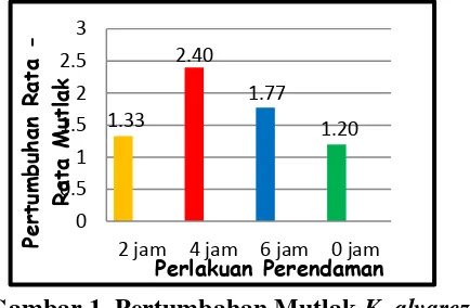 Gambar 1. Pertumbahan Mutlak K. alvarezii 