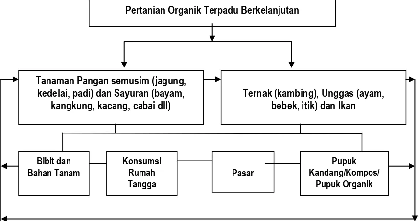 Gambar 2.  Model sistem pertanian organik terpadu berkelanjutan skala semi komersial  