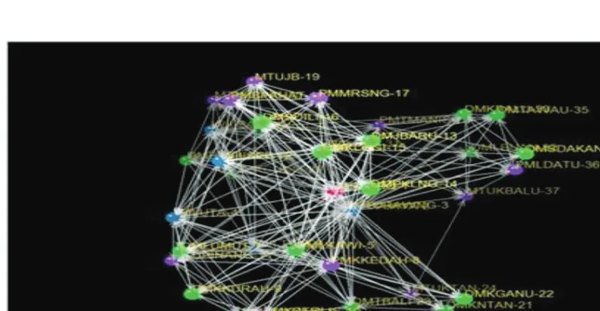Figure 4.  Network Of Firms Based On Information -Sharing Ties. Sociogram with Ties