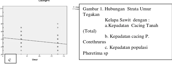 Gambar 1. Hubungan  Strata Umur 