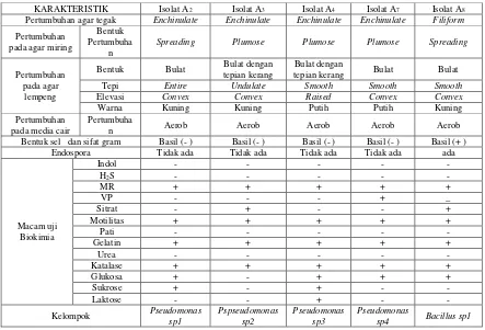 Tabel 3. Karakterisasi dan Identifikasi Isolat bakteri 
