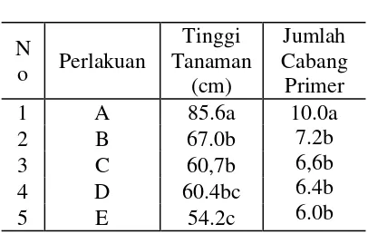Tabel 2. Pengaruh Perlakuan Kerapatan Gulma  Siamih Terhadap Tinggi Tanaman Cabe Dan Jumlah Cabang Primer Tanaman Cabe 