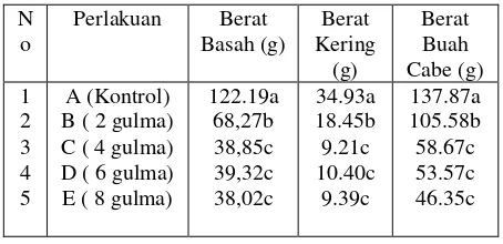 Tabel 3. Pengaruh Perlakuan Kerapatan Gulma Siamih Terhadap Berat Basah Tanaman   Cabe,  Berat Kering Tanaman Cabe, Berat buah cabe