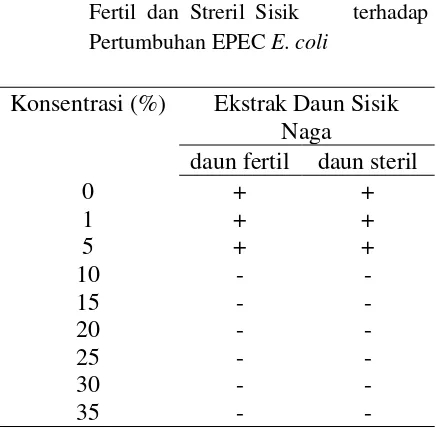 Tabel 1. Pengaruh penambahan  Ekstrak Daun Fertil dan Streril Sisik     terhadap Pertumbuhan EPEC E