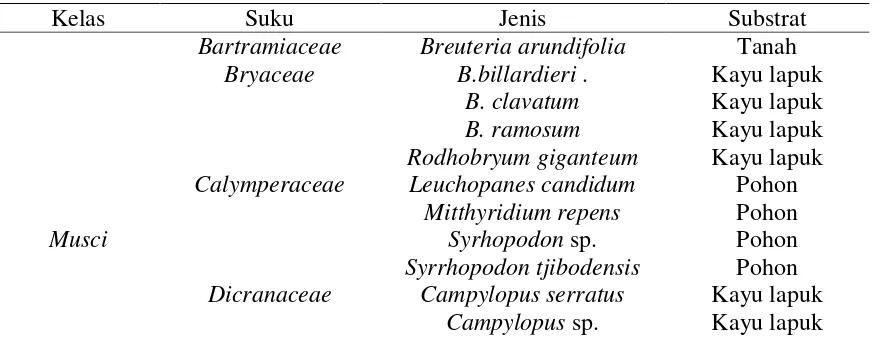 Tabel 1. Keanekaragaman jenis Lumut 