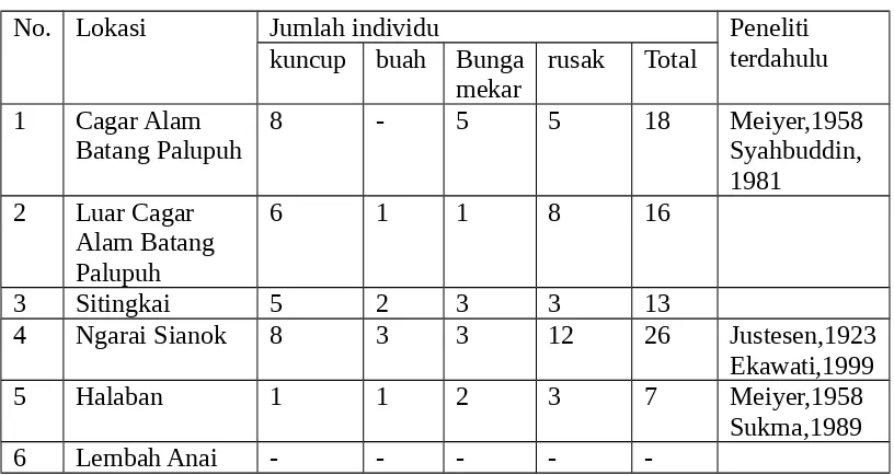 Tabel  1.  Populasi  Rafflesia arnoldi dari  bulan  Mei  sampai  dengan