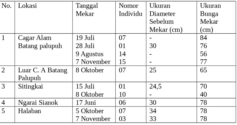 Tabel  2.  Ukuran  Bunga  Sebelum  dan  Sesudah  Mekar  Periode  Mei  –