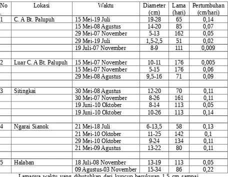 Tabel 3. Kuncup yang berkembang selama lebih dari ± 3 bulan tahun 2009