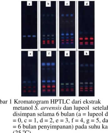 Gambar 1 Kromatogram HPTLC dari ekstrak 