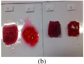 Gambar 11: (a) perubahan warna dari tiap ekstrak terhadap susu dadiah, (b) perubahan warna dari tiap ekstrak terhadap jelly