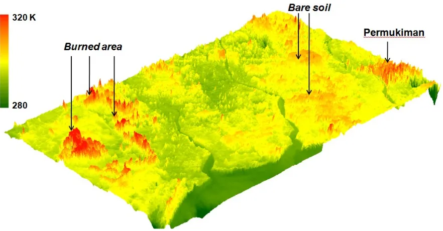 Gambar 3-2: Citra 3-D suhu kecerahan Landsat-8 kanal 10 (atas) dan kanal 11 (bawah) yang memperlihatkan karakteristik suhu kecerahan daerah burned area, bare soil (tanah terbuka non burned area), dan permukiman