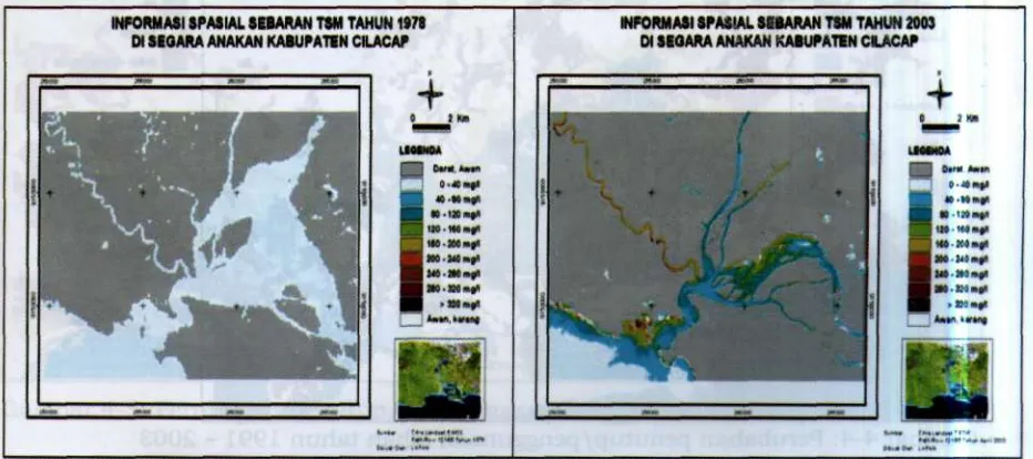 Gambar 4-2: Sebaran sedimentasi di laguna Segara Anakan 