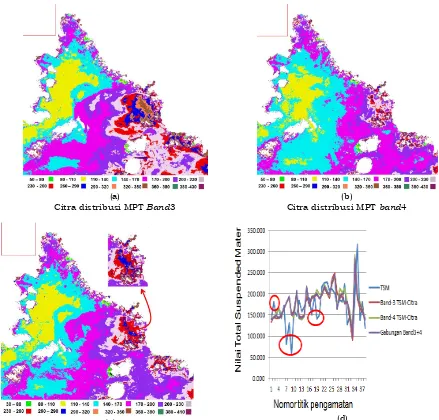Gambar 4-5: Distribusi spasial MPT di Teluk Lampung dan nilai pengamatan tiap titik(c)   