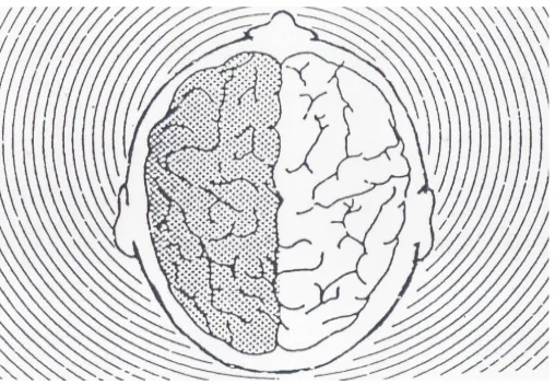Gambar 4.2 Belahan Otak Manusia 