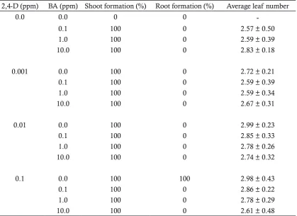 Table 1. The effect of 2,4-D and BA on shoots, roots and leaves formation on crown slicing explants of pineapple cv Tangkit