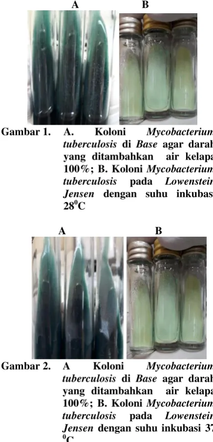 Gambar 1.  A. 