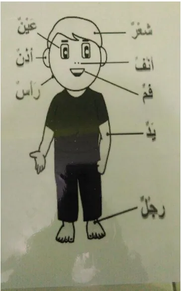 Gambar 2.1 Contoh Gambar Nama Anggota Tubuh Menggunakan Bahasa Arab. 