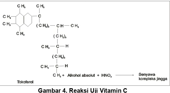 Gambar 4. Reaksi Uji Vitamin C