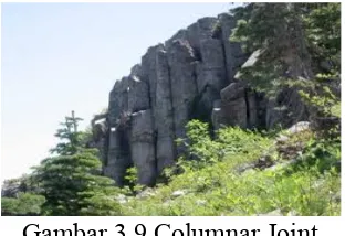 Gambar 3.9 Columnar Joint