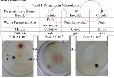 Tabel 1. Pengamatan Makroskopis