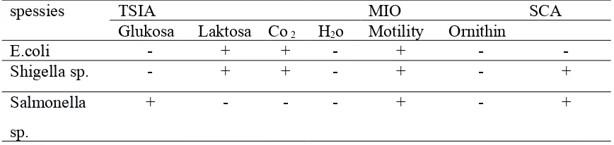 Tabel 4.1.1 Enumerasi koloni bakteri pada sampel bakso 
