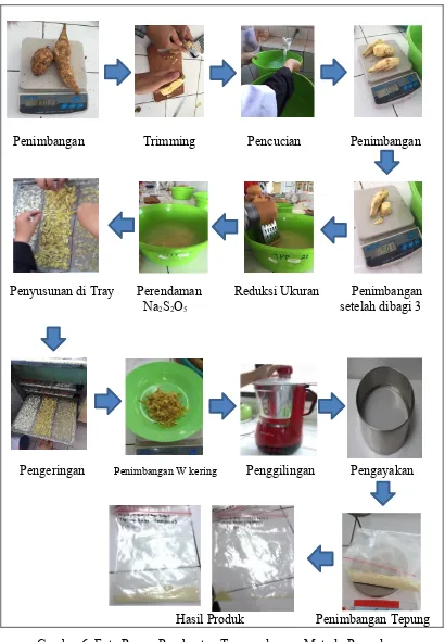 Gambar 6. Foto Proses Pembuatan Tepung dengan Metode Perendaman