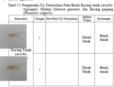 Tabel 5.1 Pengamatan Uji Tetrazolium Pada Benih Kacang tanah (Arachis