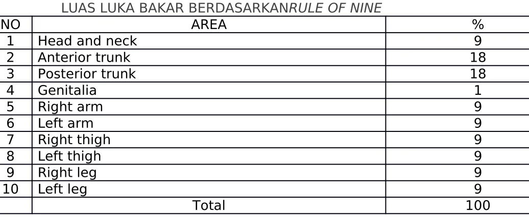 TABEL 1LUAS LUKA BAKAR BERDASARKAN 