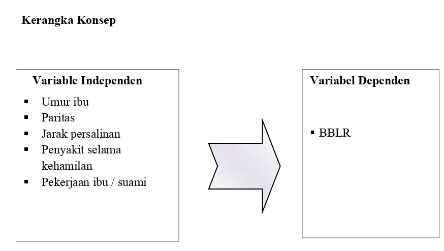 Gambar  1  Kerangka konsep antara variabledependen dan variable independen