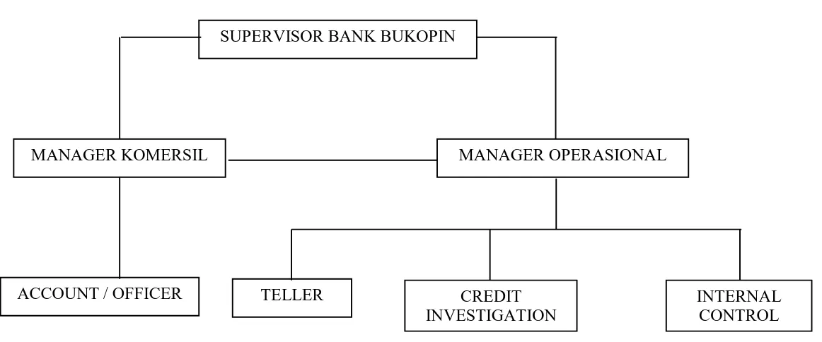 Gambar 1.2 : Struktur organisasi ( operasional ) USP SWAMITRA 