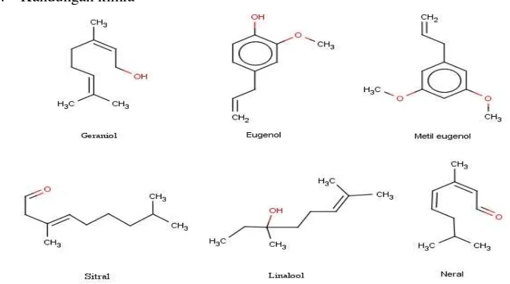 Gambar 2. Struktur kandungan kimia minyak atsiri kemangi 