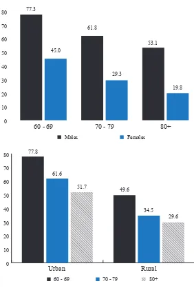 Figure 3. Literacy of Older People in Indonesia, 2007