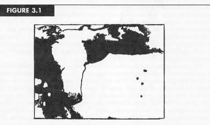 figure initially looks like a blur of meaningless shadings. A recognizable creature is Consider, for example, the image displayed in Figure 3 