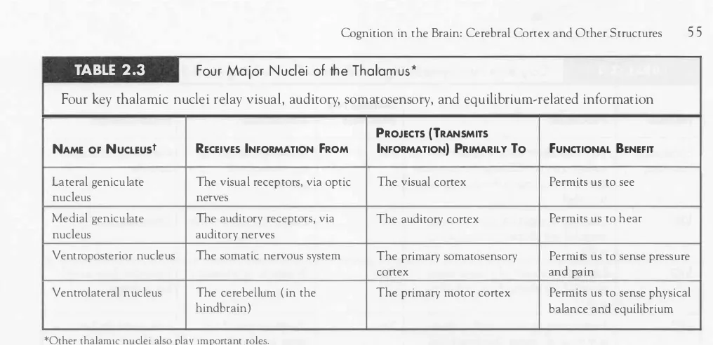 TABLE 2.3 Four Major Nuclei of the Thalamus* Four key thalamic nuclei relay visual, auditory, somatosensory, and equilibrium-related information 
