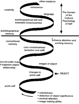 Figure 1 The domain of the cultural psychology of self