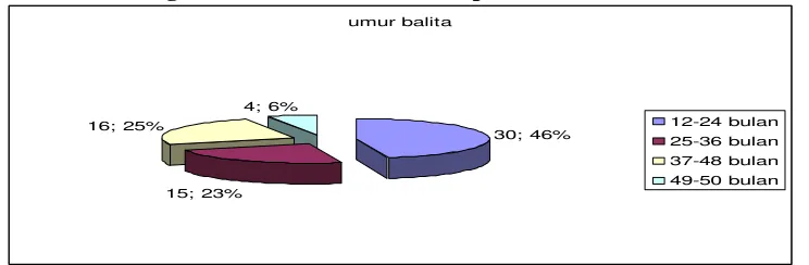 Gambar 1. Diagram Pie Karakteristik Responden Menurut Umur Balita