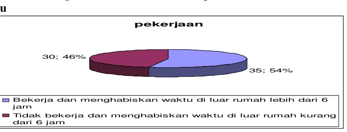 Gambar 3. Diagram Pie Karakteristik Responden Menurut Tingkat