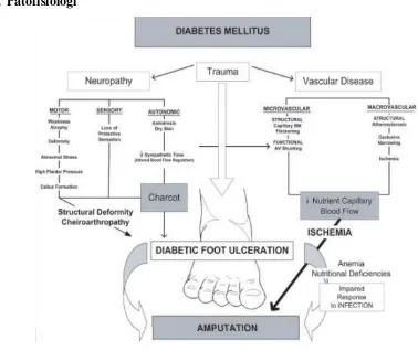 Gambar 1. Patofisiologi Ulcer dan Diabetes Melitus 