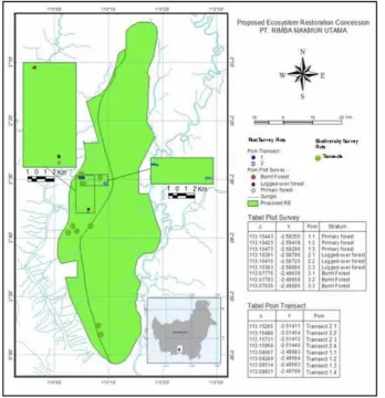 Figure 1. The location of the Katingan Project and survey plots